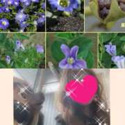 ヒメ日記 2025/08/19 10:03 投稿 ちはる(昭和41年生まれ) 熟年カップル名古屋～生電話からの営み～