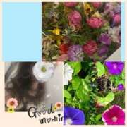 ヒメ日記 2025/08/20 09:29 投稿 ちはる(昭和41年生まれ) 熟年カップル名古屋～生電話からの営み～