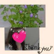 ヒメ日記 2025/08/21 12:27 投稿 ちはる(昭和41年生まれ) 熟年カップル名古屋～生電話からの営み～