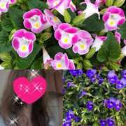 ヒメ日記 2025/08/22 09:35 投稿 ちはる(昭和41年生まれ) 熟年カップル名古屋～生電話からの営み～