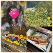 ヒメ日記 2025/08/25 16:41 投稿 ちはる(昭和41年生まれ) 熟年カップル名古屋～生電話からの営み～