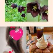 ヒメ日記 2025/08/28 12:30 投稿 ちはる(昭和41年生まれ) 熟年カップル名古屋～生電話からの営み～