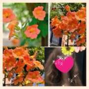 ヒメ日記 2025/08/31 13:25 投稿 ちはる(昭和41年生まれ) 熟年カップル名古屋～生電話からの営み～