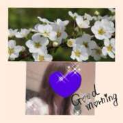 ヒメ日記 2025/09/05 09:53 投稿 ちはる(昭和41年生まれ) 熟年カップル名古屋～生電話からの営み～