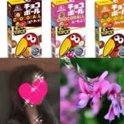 ヒメ日記 2025/09/06 09:31 投稿 ちはる(昭和41年生まれ) 熟年カップル名古屋～生電話からの営み～