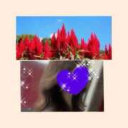 ヒメ日記 2025/09/08 13:50 投稿 ちはる(昭和41年生まれ) 熟年カップル名古屋～生電話からの営み～