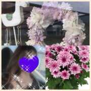 ヒメ日記 2025/09/10 11:29 投稿 ちはる(昭和41年生まれ) 熟年カップル名古屋～生電話からの営み～