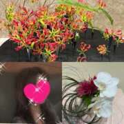 ヒメ日記 2025/09/14 16:35 投稿 ちはる(昭和41年生まれ) 熟年カップル名古屋～生電話からの営み～