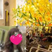 ヒメ日記 2025/09/19 10:08 投稿 ちはる(昭和41年生まれ) 熟年カップル名古屋～生電話からの営み～