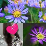 ヒメ日記 2025/09/20 09:07 投稿 ちはる(昭和41年生まれ) 熟年カップル名古屋～生電話からの営み～