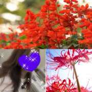 ヒメ日記 2025/09/21 11:06 投稿 ちはる(昭和41年生まれ) 熟年カップル名古屋～生電話からの営み～