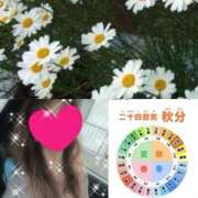 ヒメ日記 2025/09/23 09:15 投稿 ちはる(昭和41年生まれ) 熟年カップル名古屋～生電話からの営み～