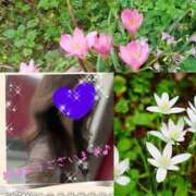 ヒメ日記 2025/09/30 11:46 投稿 ちはる(昭和41年生まれ) 熟年カップル名古屋～生電話からの営み～