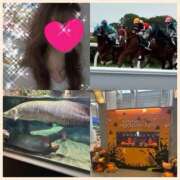 ヒメ日記 2025/10/07 17:56 投稿 ちはる(昭和41年生まれ) 熟年カップル名古屋～生電話からの営み～