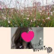 ヒメ日記 2025/10/08 09:12 投稿 ちはる(昭和41年生まれ) 熟年カップル名古屋～生電話からの営み～