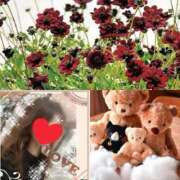 ヒメ日記 2025/10/27 07:00 投稿 ちはる(昭和41年生まれ) 熟年カップル名古屋～生電話からの営み～