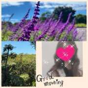 ヒメ日記 2025/10/29 10:13 投稿 ちはる(昭和41年生まれ) 熟年カップル名古屋～生電話からの営み～