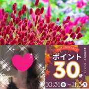 ヒメ日記 2025/10/30 19:33 投稿 ちはる(昭和41年生まれ) 熟年カップル名古屋～生電話からの営み～