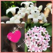 ヒメ日記 2025/11/05 09:18 投稿 ちはる(昭和41年生まれ) 熟年カップル名古屋～生電話からの営み～