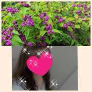 ヒメ日記 2025/11/06 23:51 投稿 ちはる(昭和41年生まれ) 熟年カップル名古屋～生電話からの営み～