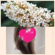 ヒメ日記 2025/11/10 09:39 投稿 ちはる(昭和41年生まれ) 熟年カップル名古屋～生電話からの営み～