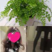 ヒメ日記 2025/11/11 09:42 投稿 ちはる(昭和41年生まれ) 熟年カップル名古屋～生電話からの営み～