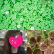 ヒメ日記 2025/11/16 11:01 投稿 ちはる(昭和41年生まれ) 熟年カップル名古屋～生電話からの営み～