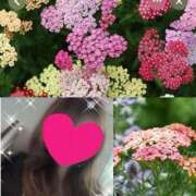 ヒメ日記 2025/11/17 11:52 投稿 ちはる(昭和41年生まれ) 熟年カップル名古屋～生電話からの営み～