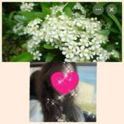 ヒメ日記 2025/11/24 10:43 投稿 ちはる(昭和41年生まれ) 熟年カップル名古屋～生電話からの営み～