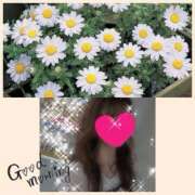 ヒメ日記 2025/11/25 08:57 投稿 ちはる(昭和41年生まれ) 熟年カップル名古屋～生電話からの営み～