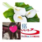 ヒメ日記 2025/11/26 11:18 投稿 ちはる(昭和41年生まれ) 熟年カップル名古屋～生電話からの営み～