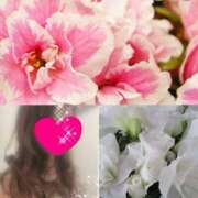 ヒメ日記 2025/11/28 10:43 投稿 ちはる(昭和41年生まれ) 熟年カップル名古屋～生電話からの営み～