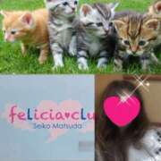 ヒメ日記 2025/11/30 09:21 投稿 ちはる(昭和41年生まれ) 熟年カップル名古屋～生電話からの営み～