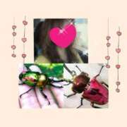 ヒメ日記 2025/12/02 17:26 投稿 ちはる(昭和41年生まれ) 熟年カップル名古屋～生電話からの営み～