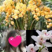 ヒメ日記 2025/12/05 11:35 投稿 ちはる(昭和41年生まれ) 熟年カップル名古屋～生電話からの営み～