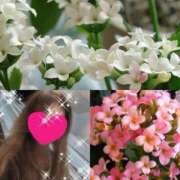 ヒメ日記 2025/12/07 11:45 投稿 ちはる(昭和41年生まれ) 熟年カップル名古屋～生電話からの営み～