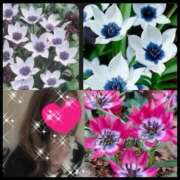 ヒメ日記 2025/12/15 08:21 投稿 ちはる(昭和41年生まれ) 熟年カップル名古屋～生電話からの営み～