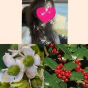 ヒメ日記 2025/12/16 10:53 投稿 ちはる(昭和41年生まれ) 熟年カップル名古屋～生電話からの営み～