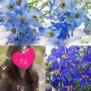 ヒメ日記 2025/12/20 08:56 投稿 ちはる(昭和41年生まれ) 熟年カップル名古屋～生電話からの営み～