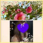 ヒメ日記 2025/12/29 10:17 投稿 ちはる(昭和41年生まれ) 熟年カップル名古屋～生電話からの営み～