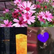 ヒメ日記 2026/01/04 23:48 投稿 ちはる(昭和41年生まれ) 熟年カップル名古屋～生電話からの営み～