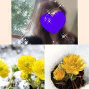 ヒメ日記 2026/01/09 12:05 投稿 ちはる(昭和41年生まれ) 熟年カップル名古屋～生電話からの営み～