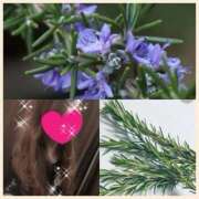 ヒメ日記 2026/01/13 12:33 投稿 ちはる(昭和41年生まれ) 熟年カップル名古屋～生電話からの営み～