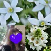 ヒメ日記 2026/01/14 13:18 投稿 ちはる(昭和41年生まれ) 熟年カップル名古屋～生電話からの営み～