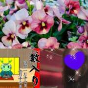 ヒメ日記 2026/01/16 13:52 投稿 ちはる(昭和41年生まれ) 熟年カップル名古屋～生電話からの営み～