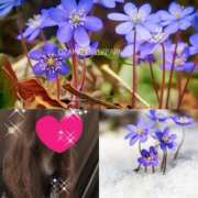 ヒメ日記 2026/01/18 12:26 投稿 ちはる(昭和41年生まれ) 熟年カップル名古屋～生電話からの営み～