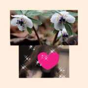 ヒメ日記 2026/01/23 13:12 投稿 ちはる(昭和41年生まれ) 熟年カップル名古屋～生電話からの営み～