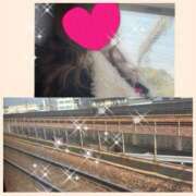 ヒメ日記 2026/02/16 11:20 投稿 ちはる(昭和41年生まれ) 熟年カップル名古屋～生電話からの営み～