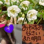 ヒメ日記 2026/03/09 23:58 投稿 ちはる(昭和41年生まれ) 熟年カップル名古屋～生電話からの営み～