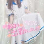 ヒメ日記 2025/04/28 14:48 投稿 石垣かおり 渋谷ミルク